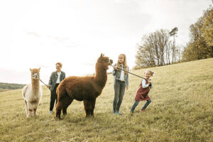 Kinder Familie Fotografie Kinderfoto Bildgefühle Odenwald Alpaka Tiere