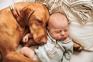 hund-baby