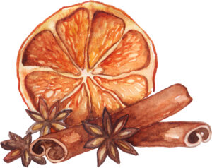 Watercolor lemon citrus anise cinnamon fruit still life isolated