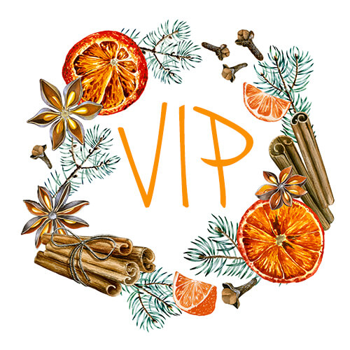 vip_2023 (1)
