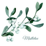 Bildgefühle,Odenwald,Fotografie,Fotograf,Fotografin,Fotografieren,Bilder,Fotos,Fotostudio,Studio,Shooting,Babyfotografie,Babyfotos,Newborn,Baby,Neugeborenenfotografie,Kinder,Kinderfotos,Kinderfotografie,Familie,Familienfotos,Familienfotografie,Babybauch,Babybauchshooting,Portraits,Paarfotografie,Couple,Paare,Pärchen,MeTime,Frauenfotografie,Familienfotografin,Natürliche Fotos,CakeSmash,Geburtstagsshooting,Erster Geburtstag,1.Geburtstag,Schau mal wie ich wachse,SMWIW,First Shooting,Coaching für Fotografen,Business,Coaching,Businessguide,Videografie,Mentoring für Fotografen,1:1 Coaching,Fotografenbusiness,Erinnerungsfilm,Familienfilm,Homestory,zu Hause,Natur,Outdoor,Boho,Herbst,Frühling,Sommer,Winter,Höchst im Odenwald,Sandbach,Darmstadt,Aschaffenburg,Erbach,Michelstadt,Wörth am Main,Obernburg,Miltenberg,Breuberg,Dieburg,Reinheim,Reichelsheim,Groß-Umstadt,Brensbach,Otzberg,Frankfurt,Mannheim,Heidelberg, Shootinghaus, Shootinghaus am Wald, Shootinggarten 