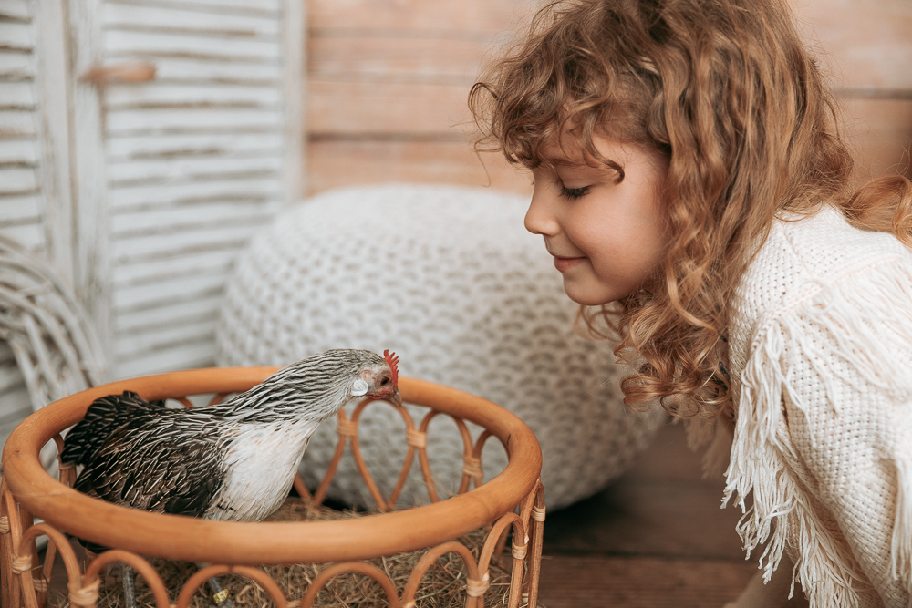 Zwerghuhn Hühner Foto mit Kind Ostern Bildgefühle Odenwald