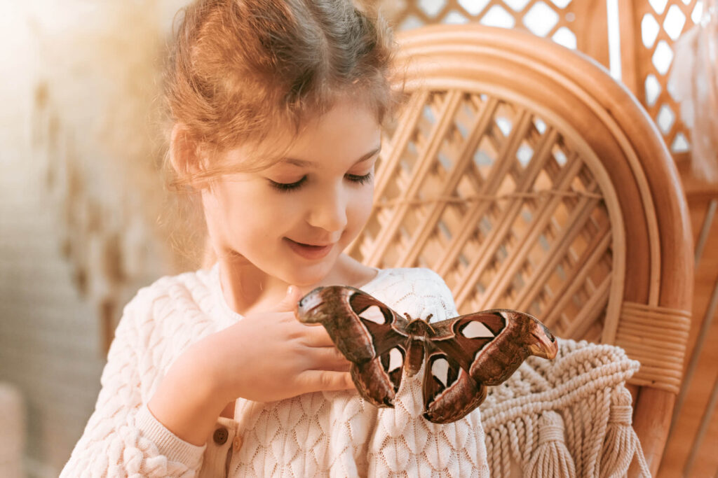 Kinder Schmetterling Tiere Fotografie Kinderfoto Bildgefühle Odenwald